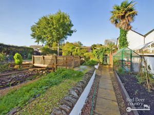 Side Garden- click for photo gallery